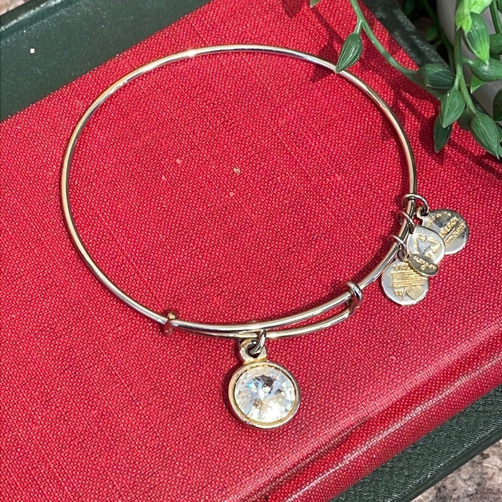 Alex and Ani bracelet